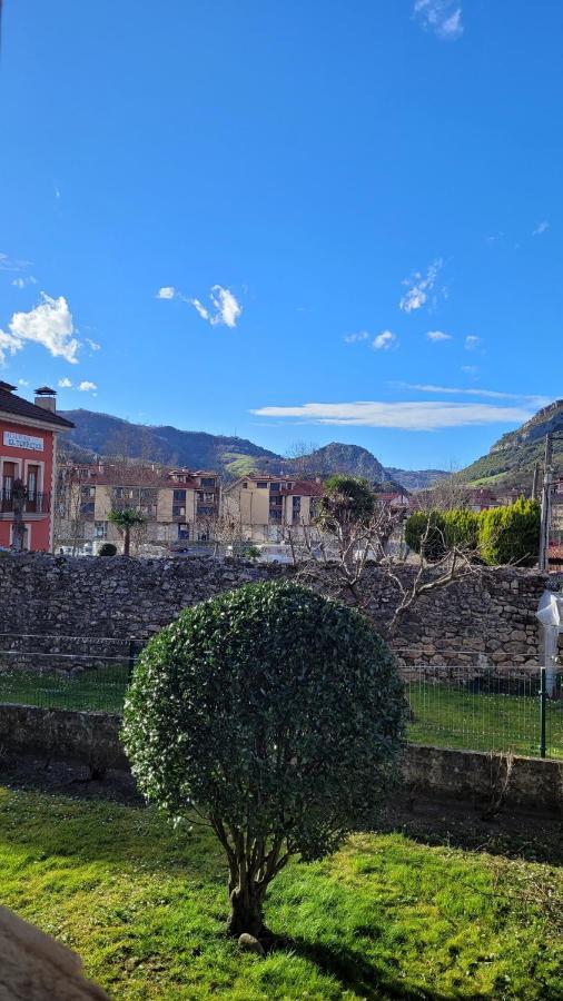 Casa Rural El Torrejon Arenas De Cabrales Buitenkant foto