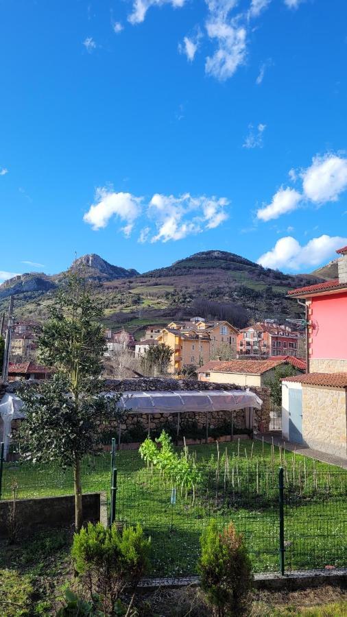 Casa Rural El Torrejon Arenas De Cabrales Buitenkant foto